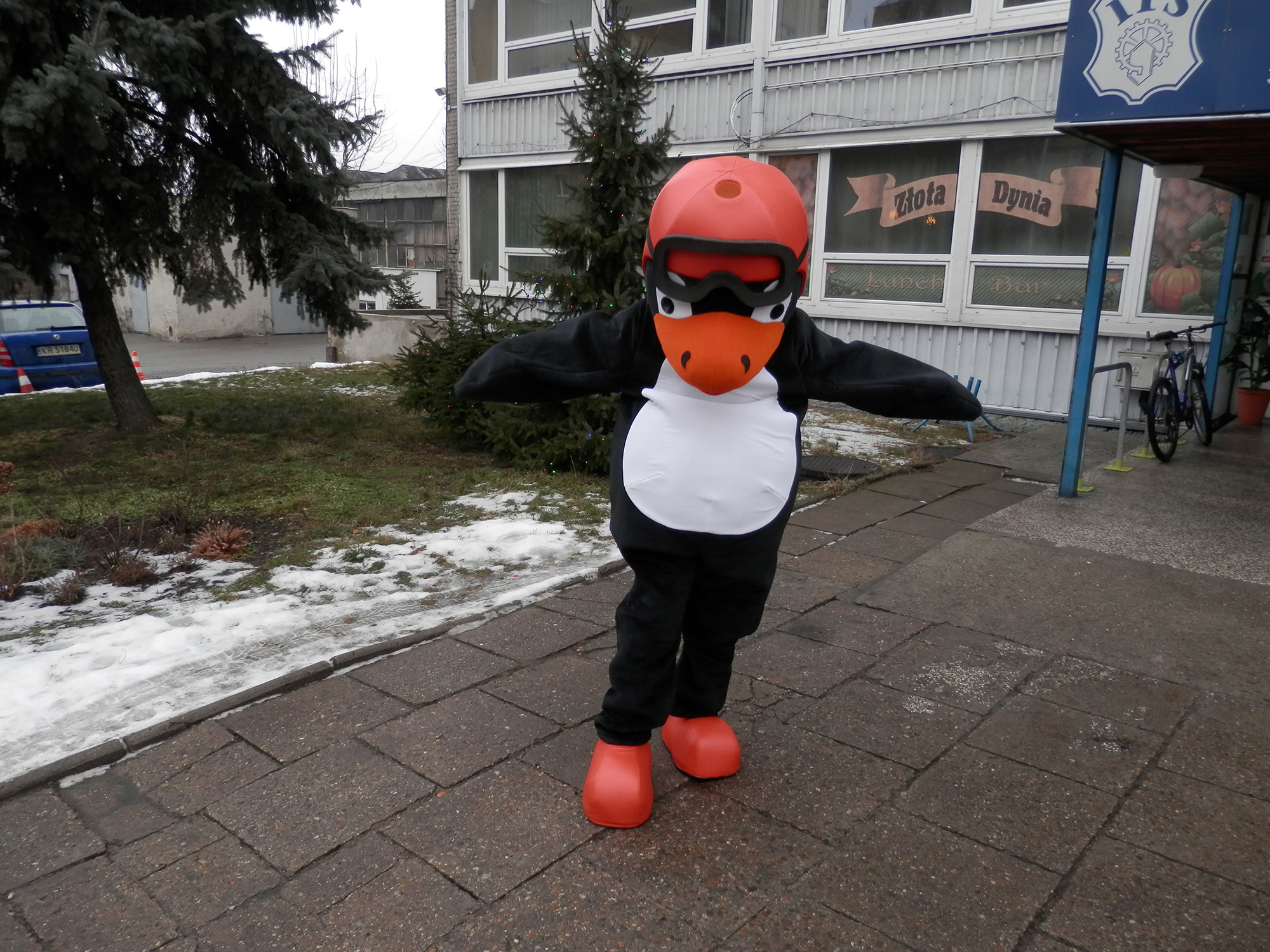 Czy wiesz, że i Ty możesz zaprojektować własne kostiumy reklamowe? Pingwin
